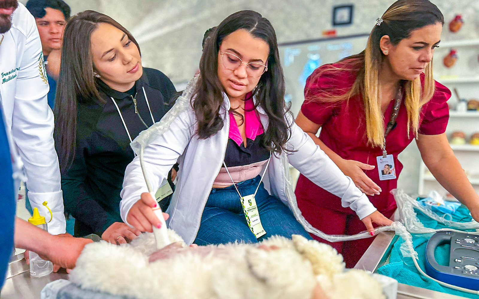 Curso de Medicina Veterinária da UniCatólica realizará eleição da primeira diretoria do Centro Acadêmico